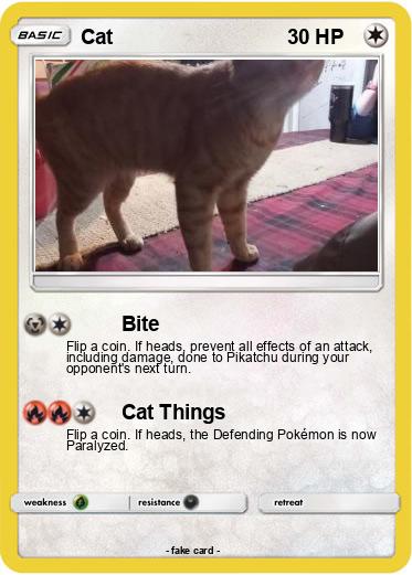 Pokemon Cat