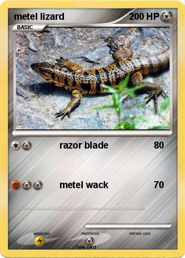 Pokemon metel lizard