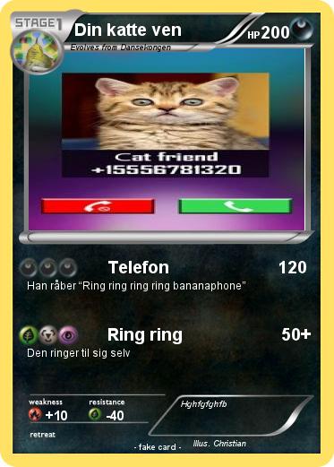 Pokemon Din katte ven