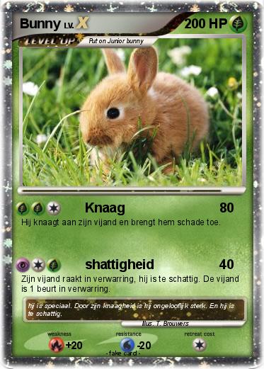 Pokemon Bunny
