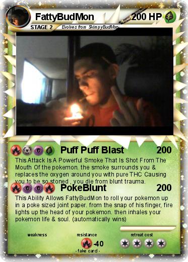 Pokemon FattyBudMon