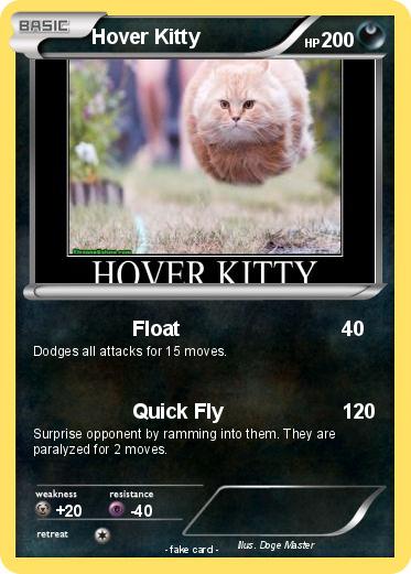 Pokemon Hover Kitty
