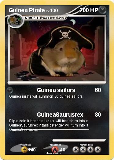 Pokemon Guinea Pirate