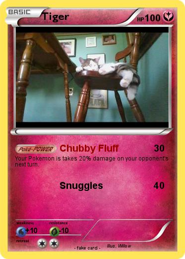 Pokemon Tiger