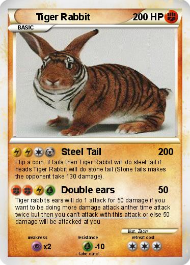 Pokemon Tiger Rabbit