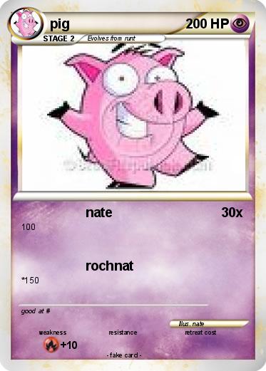 Pokemon pig