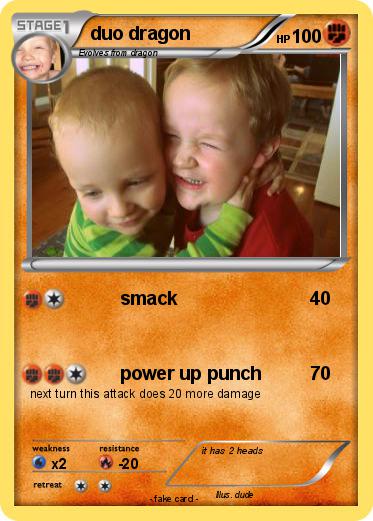 Pokemon duo dragon