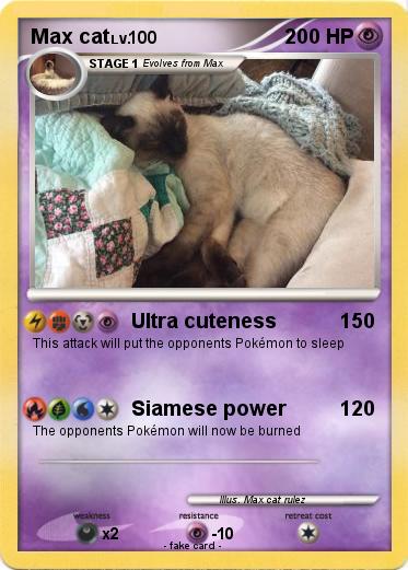 Pokemon Max cat