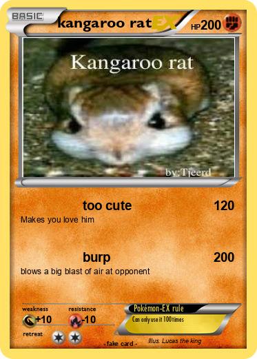 Pokemon kangaroo rat