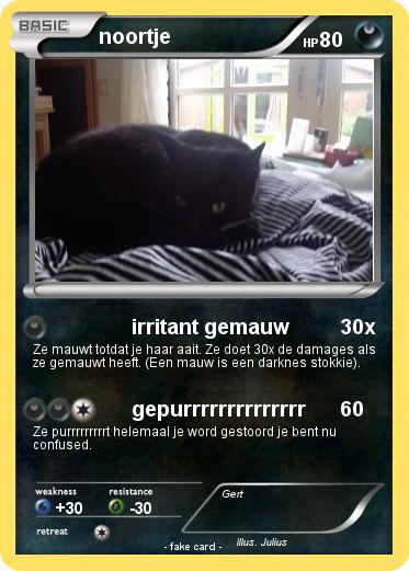 Pokemon noortje