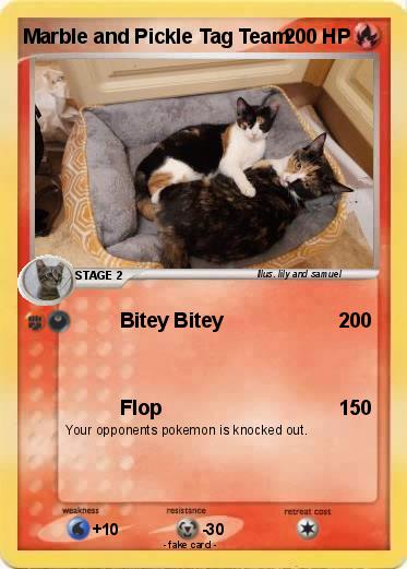 Pokemon Marble and Pickle Tag Team