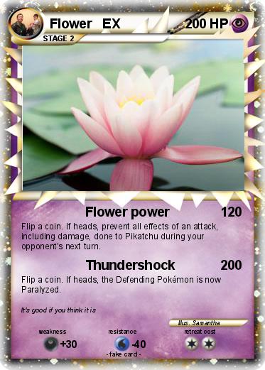 Pokemon Flower   EX