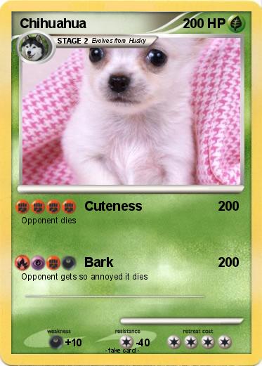 Pokemon Chihuahua