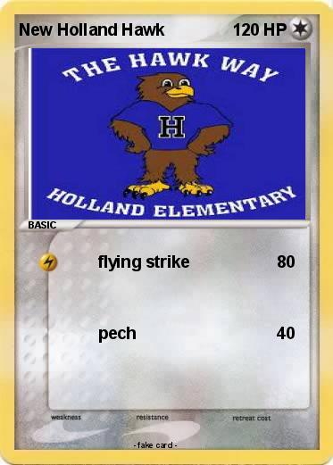 Pokemon New Holland Hawk