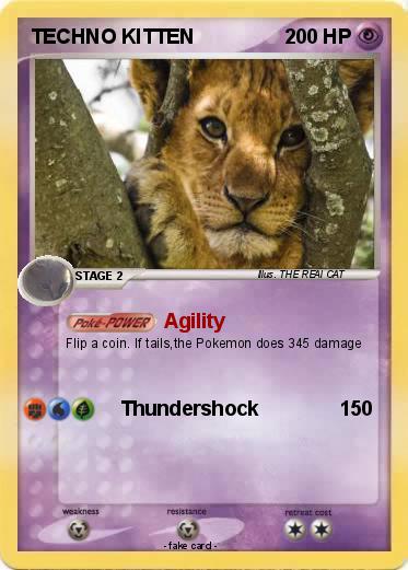 Pokemon TECHNO KITTEN