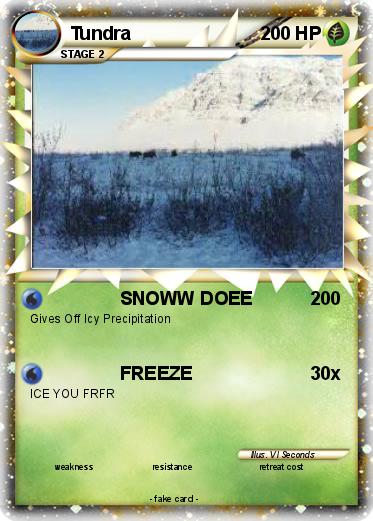Pokemon Tundra