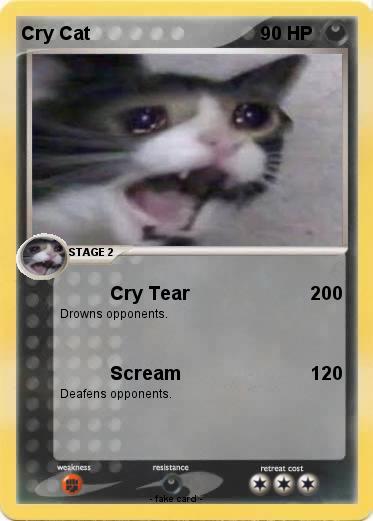 Pokemon Cry Cat