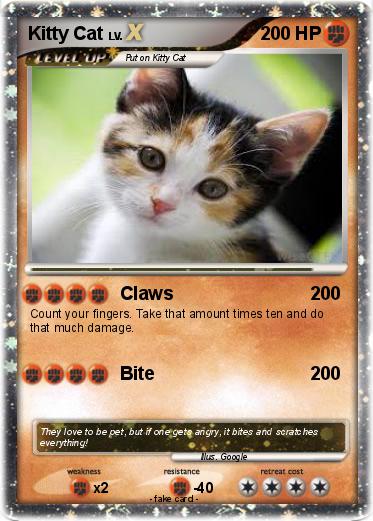 Pokemon Kitty Cat