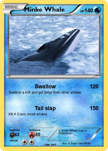 Pokemon Minke Whale