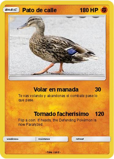 Pokemon Pato de calle