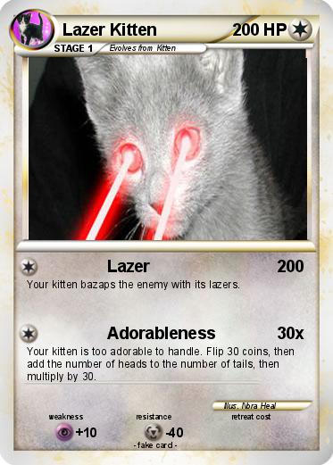 Pokemon Lazer Kitten