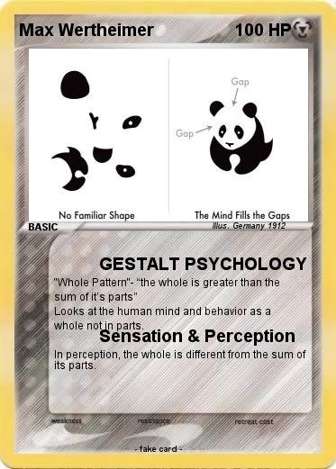 Pokemon Max Wertheimer
