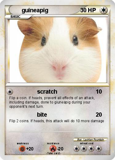 Pokemon guineapig