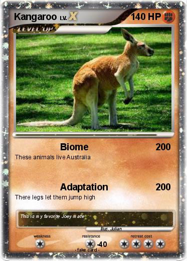 Pokemon Kangaroo