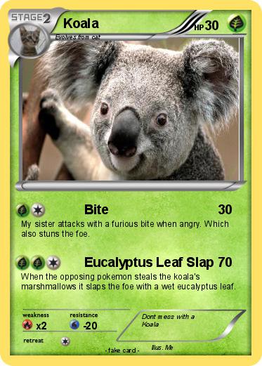 Pokemon Koala