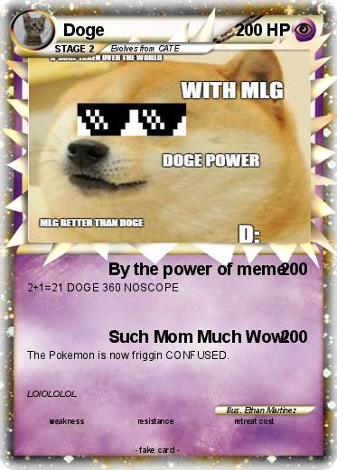 Pokemon Doge