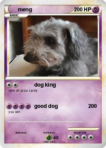 Pokemon meng
