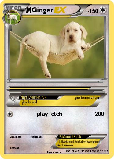 Pokemon Ginger
