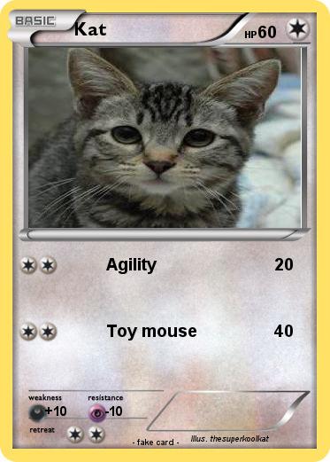 Pokemon Kat
