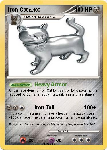 Pokemon Iron Cat