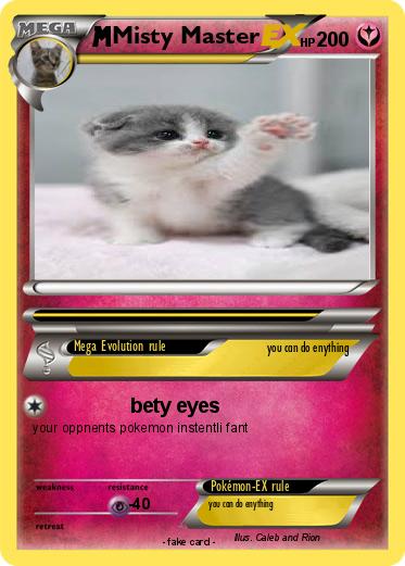 Pokemon Misty Master