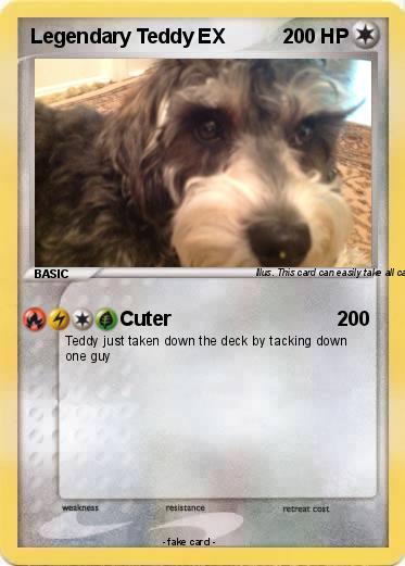 Pokemon Legendary Teddy EX