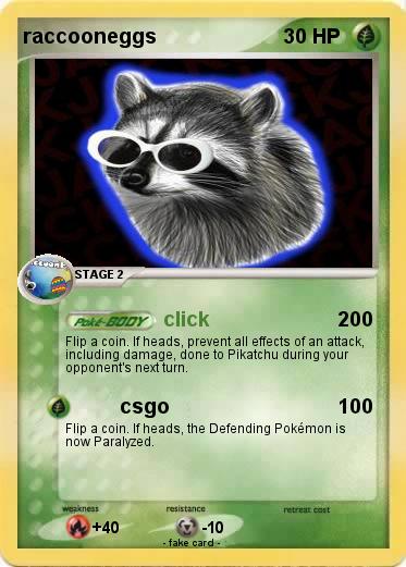 Pokemon raccooneggs