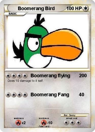 Pokemon Boomerang Bird