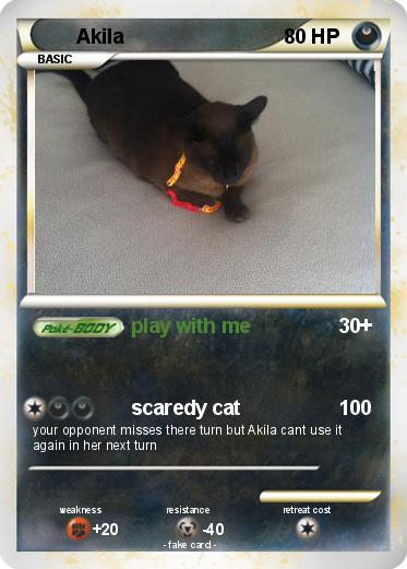 Pokemon Akila