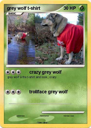Pokemon grey wolf t-shirt