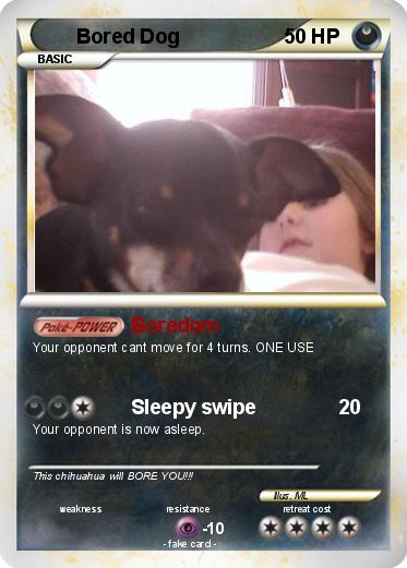 Pokemon Bored Dog