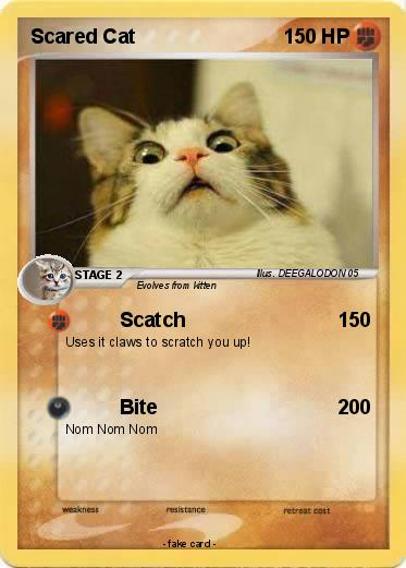 Pokemon Scared Cat
