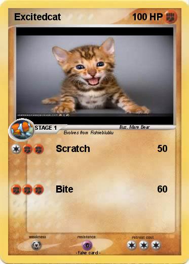Pokemon Excitedcat