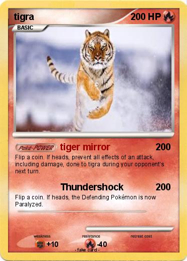 Pokemon tigra