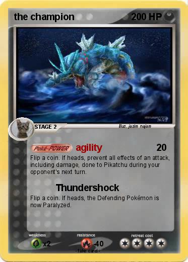 Pokemon the champion