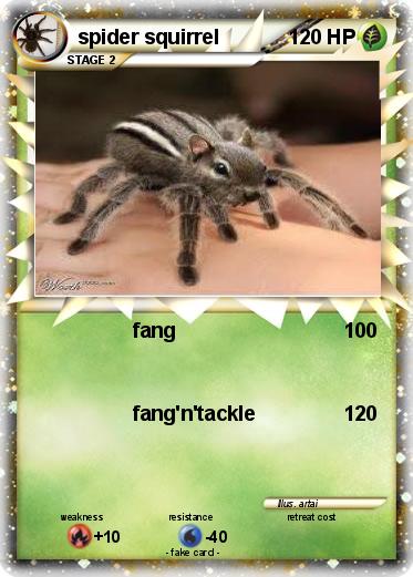 Pokemon spider squirrel