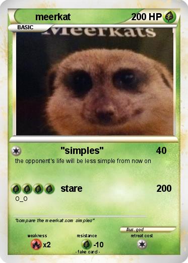 Pokemon meerkat