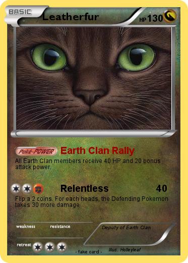 Pokemon Leatherfur