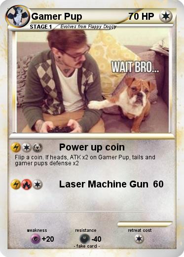 Pokemon Gamer Pup