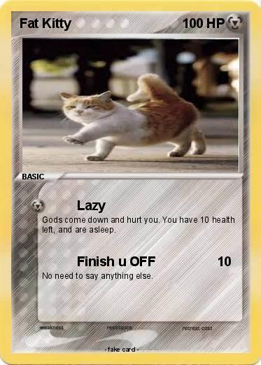 Pokemon Fat Kitty